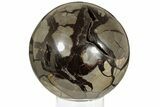 Septarian Geode Sphere ( Lbs) - Madagascar #185649-3
